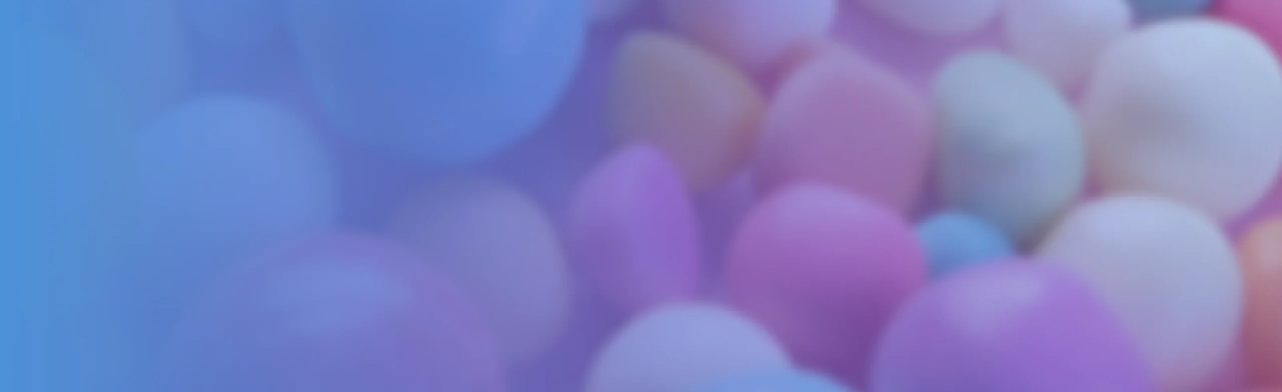 Sugar Rush Slot Reviews Sugar Rush Slot Reviews